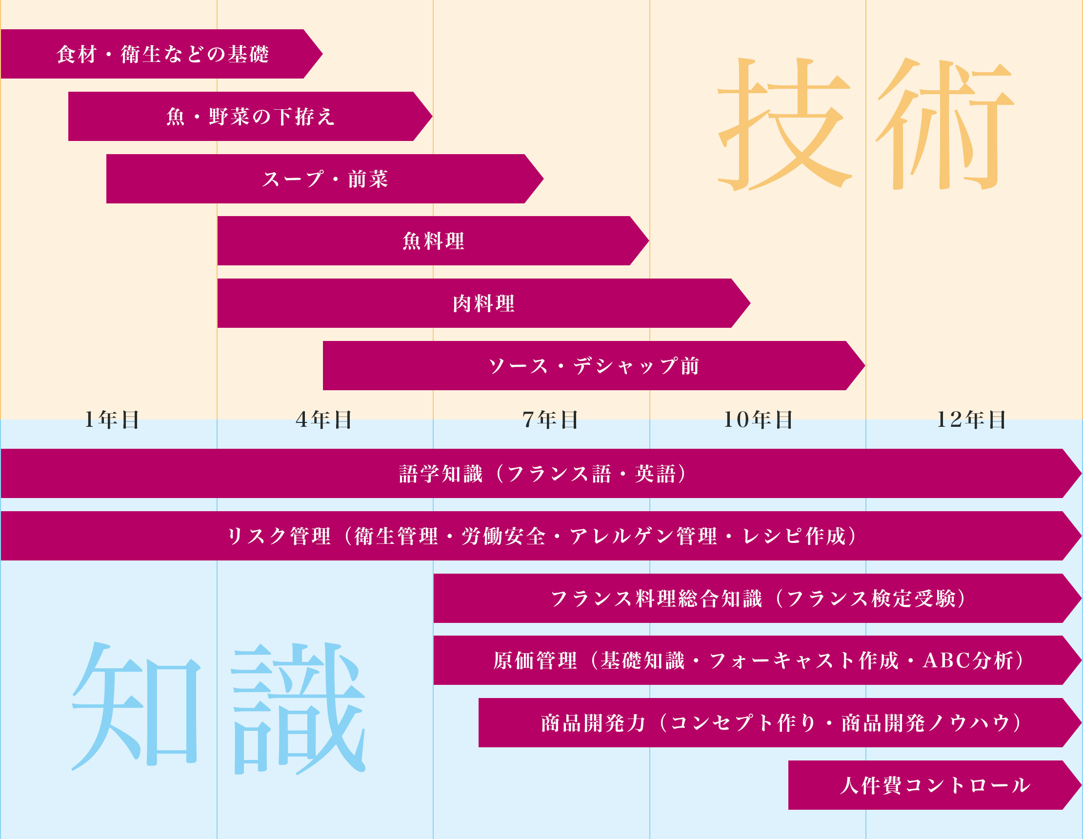 シェフへの道 キャリアアップ支援概要